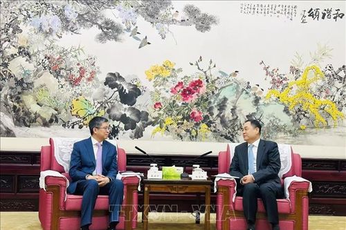 Tăng cường hiểu biết, hữu nghị và hợp tác thiết thực giữa nhân dân hai nước Việt - Trung