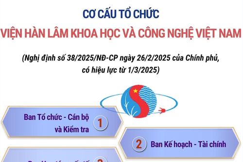 Cơ cấu tổ chức của Viện Hàn lâm Khoa học và Công nghệ Việt Nam