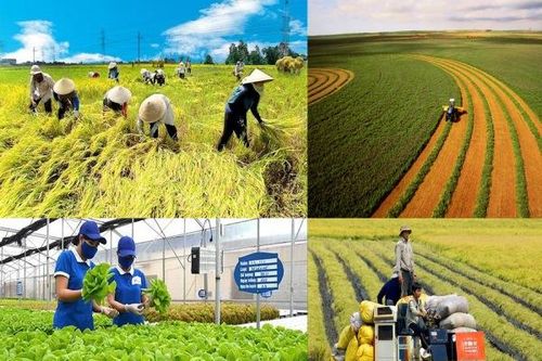 Băn khoăn về số lượng doanh nghiệp tham gia cơ chế thử nghiệm phát triển kinh tế tuần hoàn