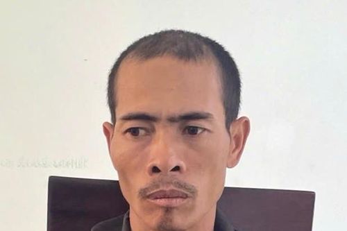 Gia Lai: Khởi tố đối tượng chặt phá vườn cà phê, hồ tiêu của em vợ