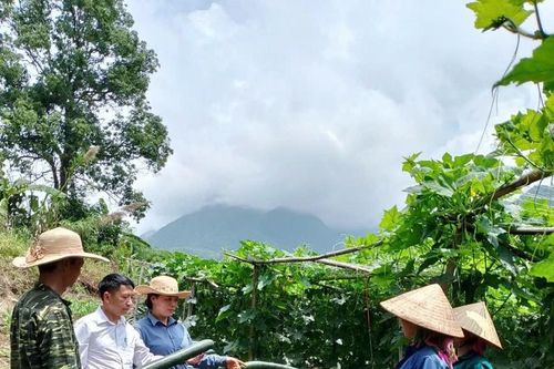 Vươn lên làm giàu trên đồng đất quê hương