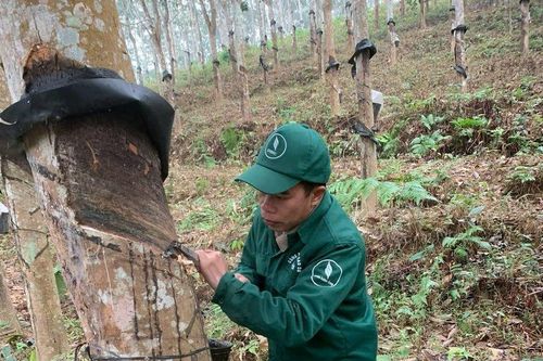 Người đảng viên, công nhân có 'Bàn tay vàng' trong lao động, sản xuất