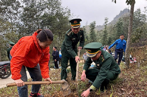 Tết trồng cây đời đời nhớ ơn Bác Hồ, Xuân Ất Tỵ năm 2025 tại xã Sơn Vĩ