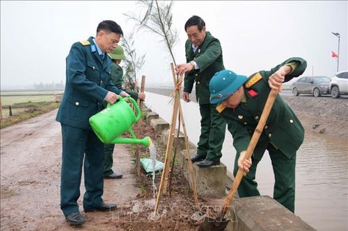Tết trồng cây: Nét văn hóa đầu Xuân