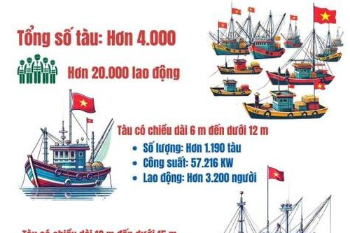 Chuyển đổi ngành nghề cho cư dân ven biển - Gỡ khó hiện tại, khơi mở tương lai - Bài 2: Gian nan tìm sinh kế mới