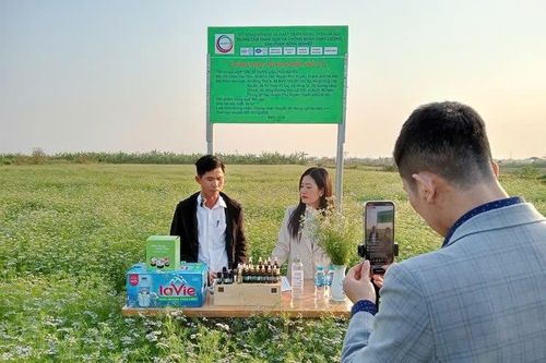 Hiệu quả thiết thực từ mô hình hợp tác xã dược liệu ở huyện Phú Xuyên