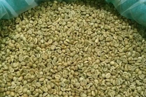 Algeria miễn giảm thuế nhập khẩu cà phê, cơ hội cho doanh nghiệp Việt