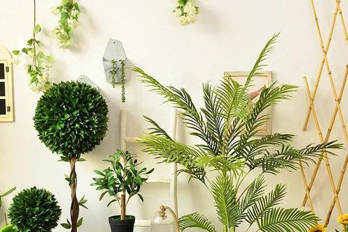 Cách bố trí cây xanh hợp lý để nâng cao giá trị cho quán cafe
