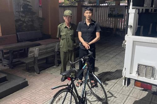 'Ngựa quen đường cũ'