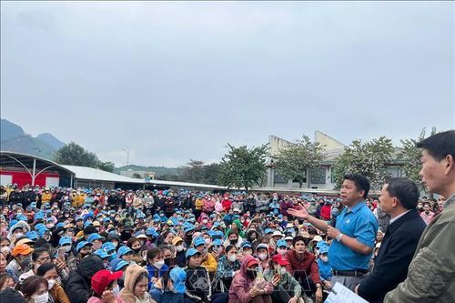 Chấm dứt tình trạng ngừng việc tập thể hàng loạt tại Thanh Hóa