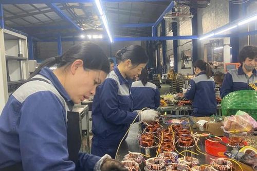 Phát triển đảng trong doanh nghiệp ngoài Nhà nước: Dấu ấn sau gần một nhiệm kỳ