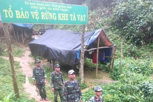Những người 'trả nợ' rừng xanh!