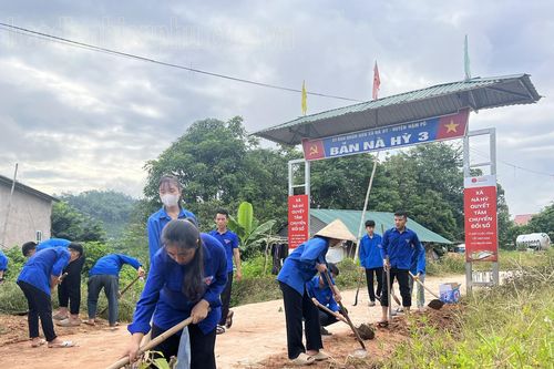 Góp sức trẻ vì cộng đồng