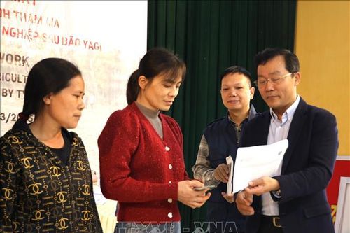 Hỗ trợ nông dân Yên Bái cải tạo đất sản xuất nông nghiệp sau bão số 3
