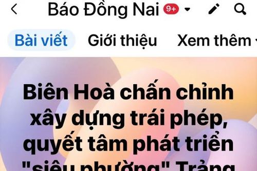 Các thông tin liên quan đến đời sống được bạn đọc quan tâm