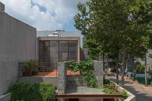 Độc đáo ngôi nhà không sơn trát như một hệ sinh thái nhỏ