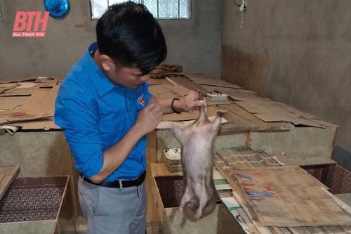 Đồng hành cùng thanh niên lập nghiệp
