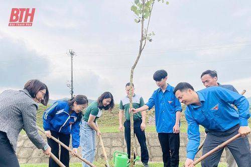 Thị đoàn Nghi Sơn thực hiện 'Hàng cây Thanh niên - Vì một Việt Nam xanh'