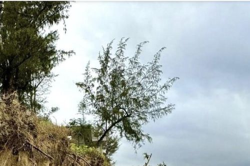 Sóng lớn công phá, bờ biển nổi tiếng ở miền Trung bị ngoạm' nghiêm trọng