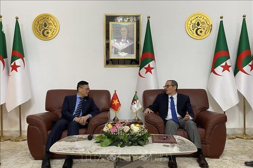 Việt Nam thúc đẩy hợp tác với các địa phương của Algeria