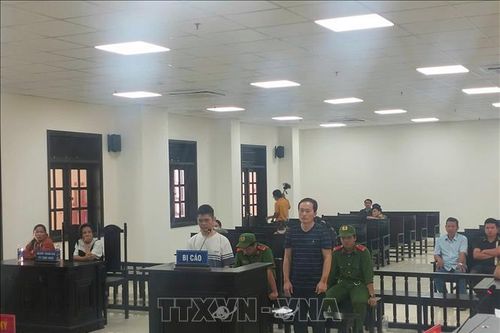 Phạt tù hai đối tượng sản xuất, buôn bán hàng giả là thuốc bảo vệ thực vật
