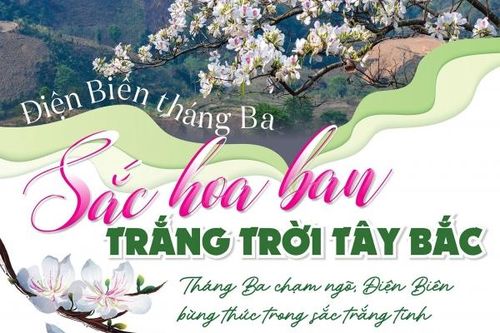 Điện Biên tháng Ba - Sắc hoa ban trắng trời Tây Bắc