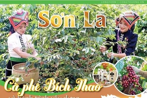 Sơn La: Cà phê Bích Thao và hành trình xây dựng thương hiệu