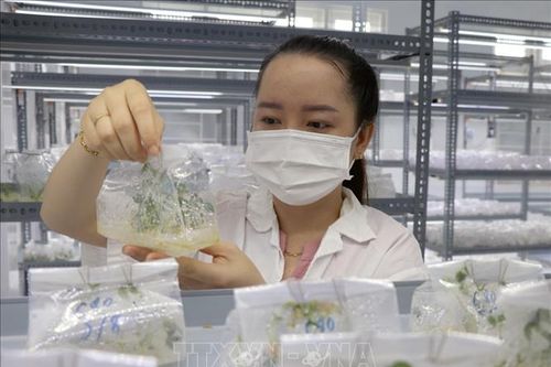 Bài 1: Gỡ nút thắt về thể chế