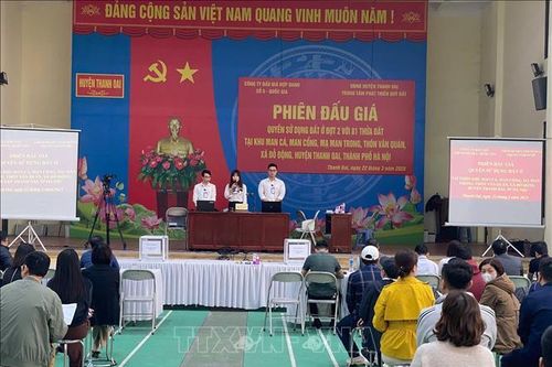 Quý I/2025: Huyện Thanh Oai ước thu khoảng 1.384 tỷ đồng từ đấu giá đất