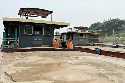 Liên tiếp xử lý các phương tiện thủy vận chuyển cát không có hóa đơn trên sông Hồng