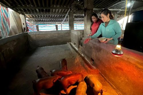 Phụ nữ Tam Đường năng động, sáng tạo trong phát triển kinh tế