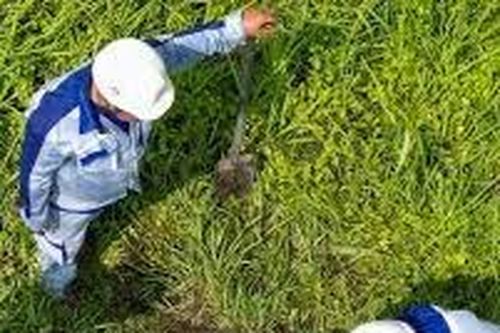 Thu hồi hơn 200ha đất làm cao tốc TPHCM - Mộc Bài