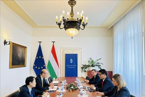 Quan hệ Đối tác toàn diện Việt Nam - Hungary phát triển tích cực