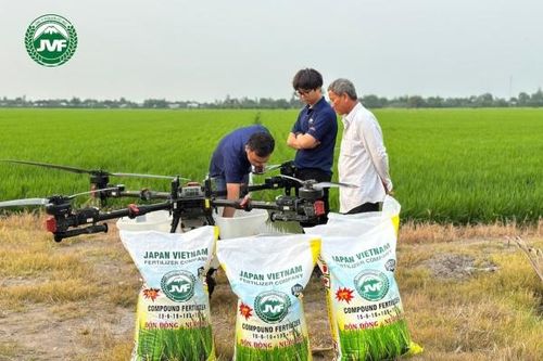 Phân bón Việt Nhật: Bước tiến mới trong công nghệ nông nghiệp