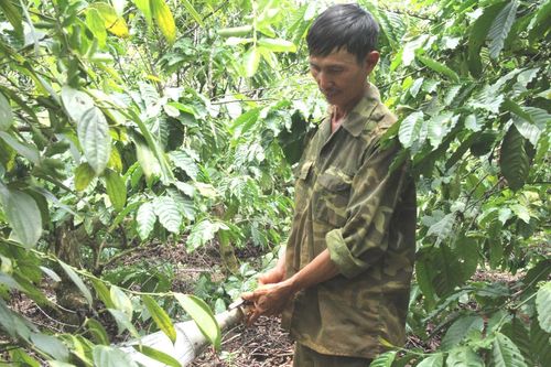 Đắk Lắk chủ động nước tưới mùa khô hạn