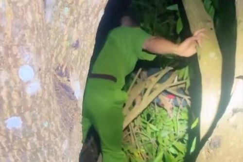 Clip: Sau nhiều giờ tìm kiếm, thót tim thấy cháu bé lớp 2 ngủ ngon trên... cây xoài!