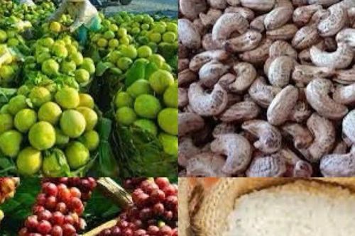 Rào cản doanh nghiệp Việt khi chinh phục thị trường toàn cầu qua thương mại điện tử