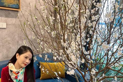 Nữ ca sĩ quê Hà Tĩnh có giọng hát đẹp trong làng nhạc dân gian, đời thực làm mẹ đơn thân kín tiếng