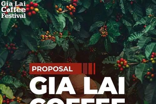 'Cà phê Gia Lai - Bazan đi khắp ba miền'