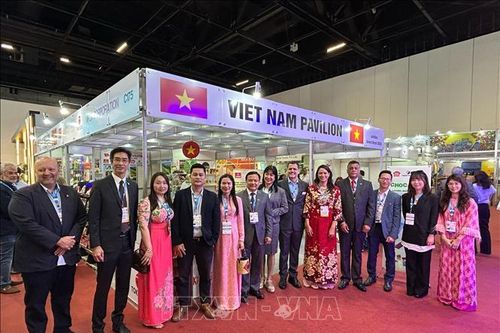 Việt Nam và Brazil mở rộng cơ hội hợp tác thương mại và đầu tư