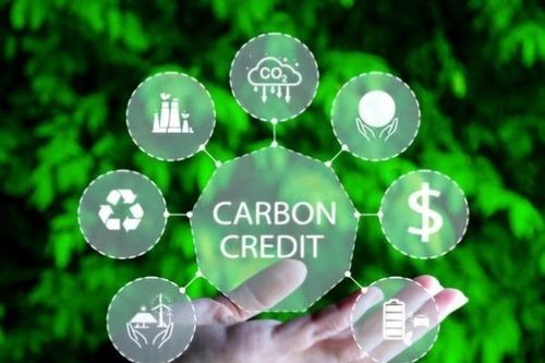 Ưu tiên doanh nghiệp tư nhân tham gia thị trường carbon