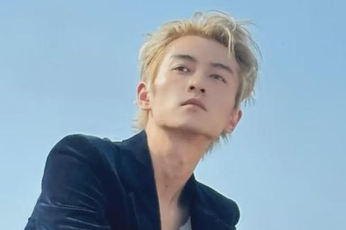 'Dương Quá' Trần Hiểu sau ly hôn