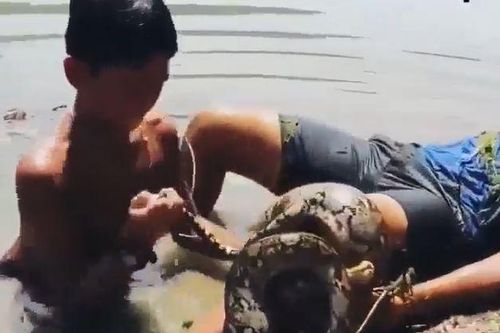 CLIP: Bị trăn 'khủng' siết chặt, 2 cậu bé có màn xử trí đáng nể phục