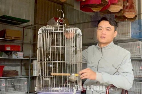 Vươn lên từ đôi chân tật nguyền