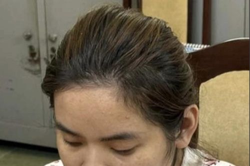 Nữ môi giới nhà đất chiếm đoạt 81 tỷ lĩnh án chung thân