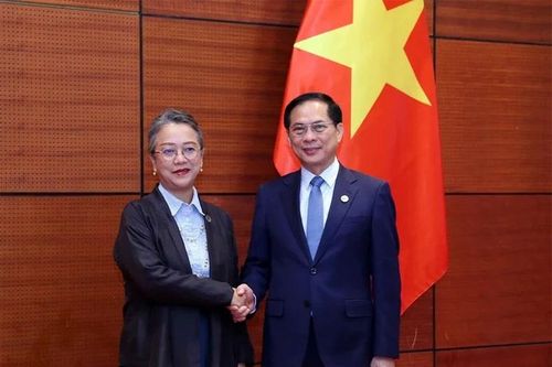 Phó Tổng Thư ký Liên hợp quốc đánh giá cao vai trò dẫn dắt của Việt Nam trên nhiều diễn đàn quốc tế lớn