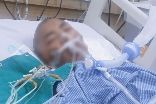 Sơn Bình: 1 người tử vong và 1 người hôn mê sâu do ăn nấm độc