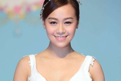 Huỳnh Tâm Dĩnh giải nghệ