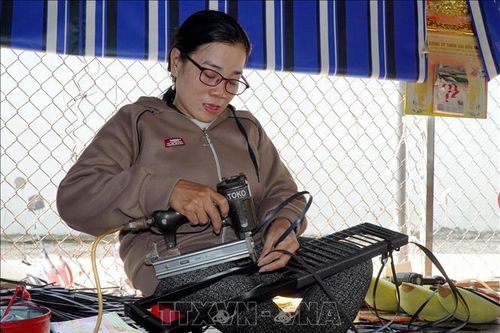 Đóa hướng dương rạng ngời tỏa sắc