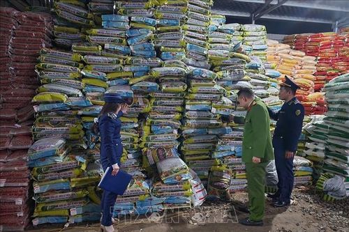 Phạt 376 triệu đồng đối với công ty sản xuất phân bón giả